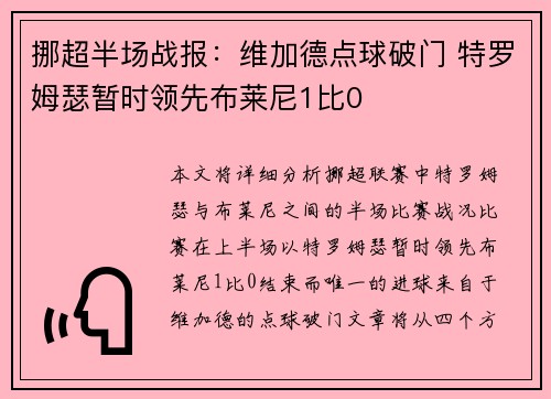 挪超半场战报：维加德点球破门 特罗姆瑟暂时领先布莱尼1比0